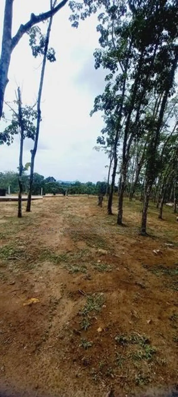 Land for Sale in Horana Ballapitiya
