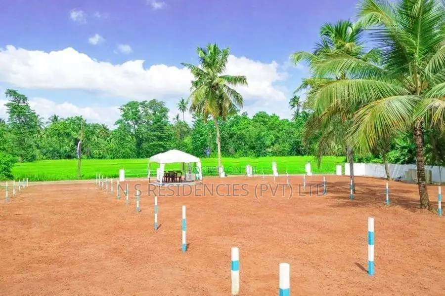 Valuable Land for Sale in Dabadeniya p3