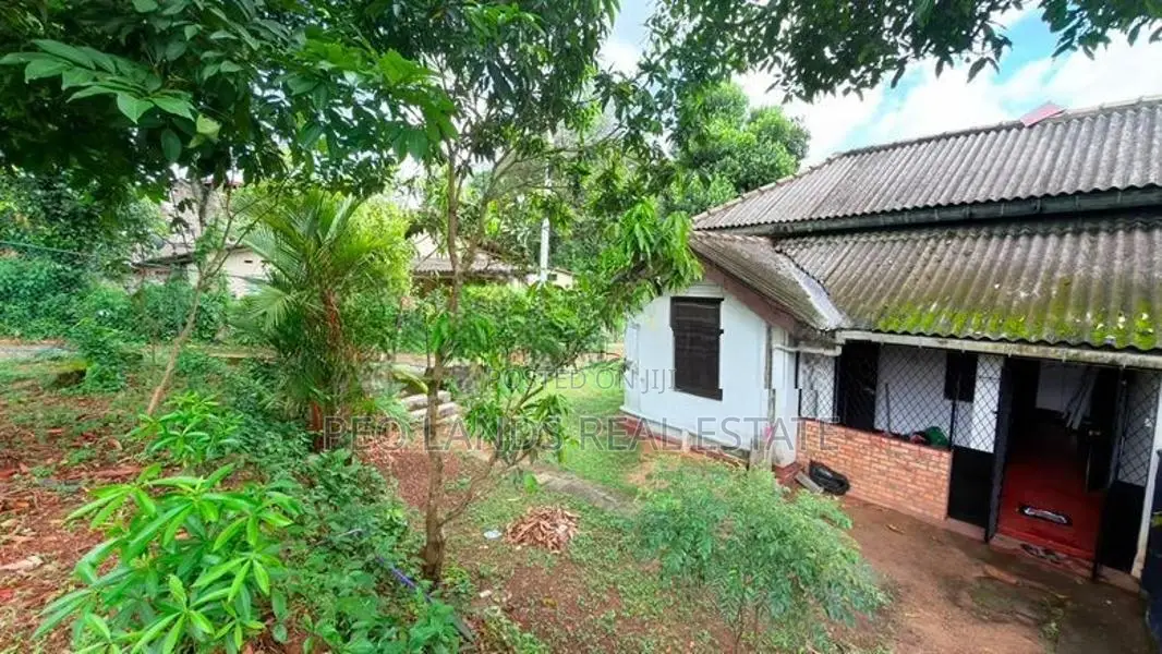(DR1314) Single Storey House for Rent in Pannipitiya