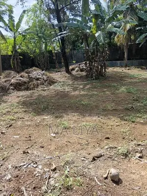 30 P Land Plot for Sale in Himbutana