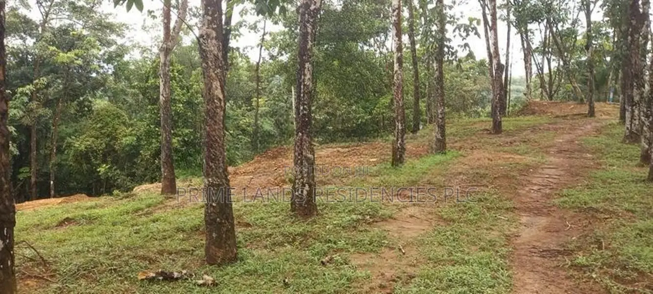 Land for Sale in Horana Ballapitiya