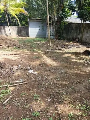 30 P Land Plot for Sale in Himbutana