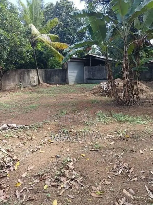 30 P Land Plot for Sale in Himbutana