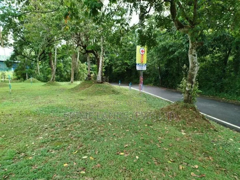 අතුරුගිරිය බොරලුගොඩ පාරෙන් බිම් කොටසක් විකිණීමට