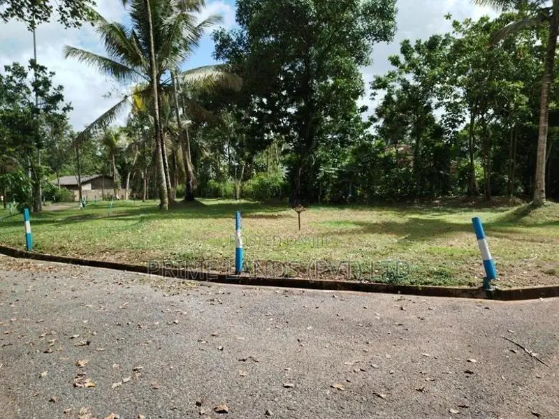 අතුරුගිරිය බොරලුගොඩ පාරෙන් බිම් කොටසක් විකිණීමට