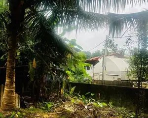 6 Perch Prime Bare Land for Sale Panadura