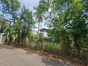 Super Land for Pannipitiya