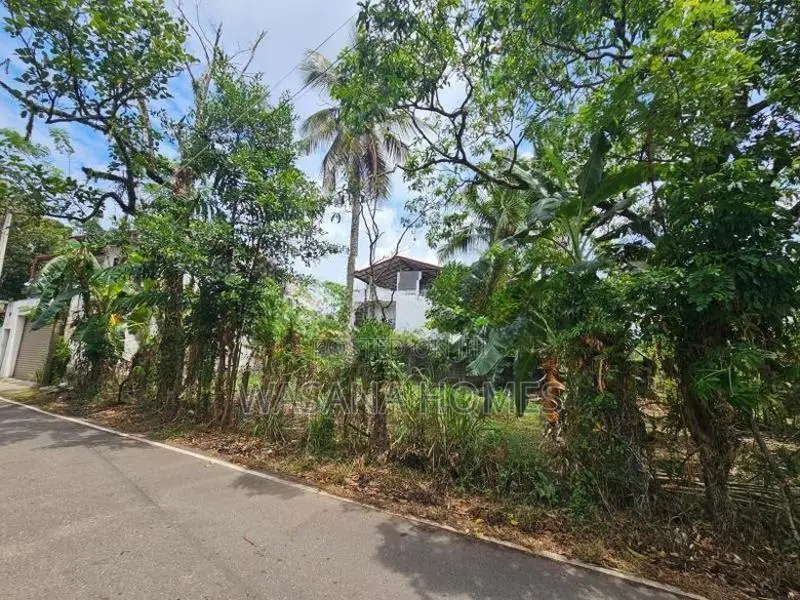 Super Land for Pannipitiya