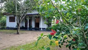 Charming 4-Bedroom House for Sale in Weligama