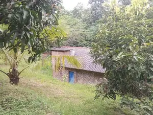 Land for Sale near Kurunegala Town
