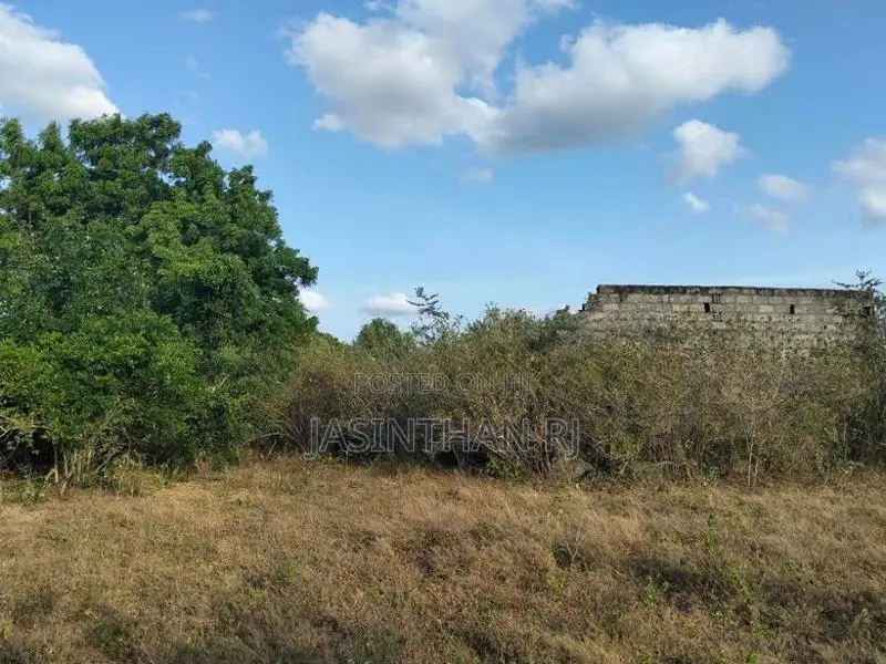 காணி விற்பனைக்கு தரணிக்குளம், புதிய நகர்