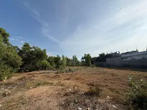 Land For Sale In Mylampavely