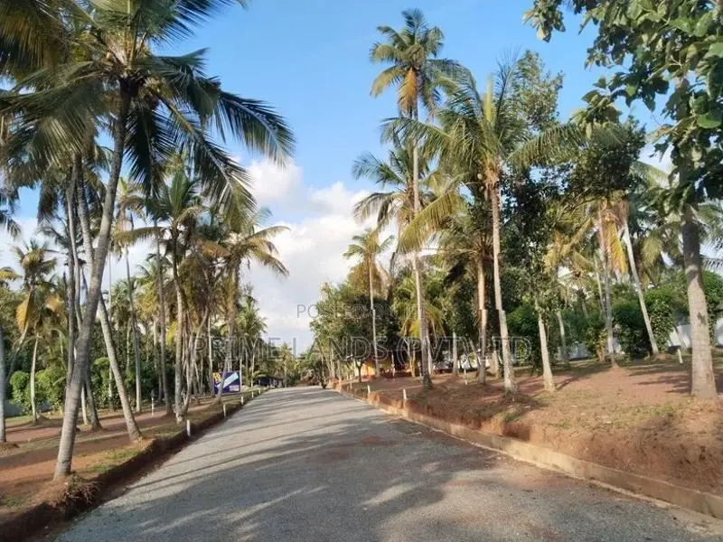 Land for Sale in Dankotuwa Town