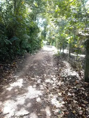 Land for Sale in Katunayake - Adiambalama