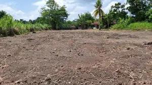 Commercial Land for Rent in Kapugoda