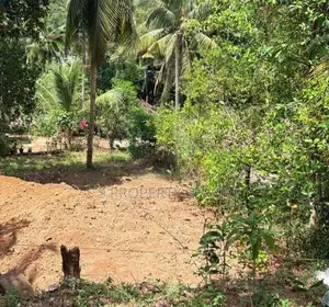 8 Perches Land For Sale in Ganemulla (SSPL-489)