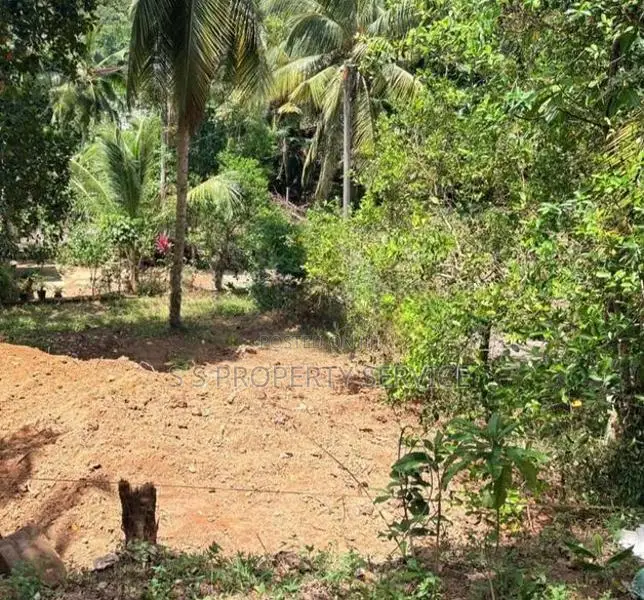 8 Perches Land For Sale in Ganemulla (SSPL-489)