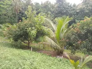 Land for Sale near Kurunegala Town