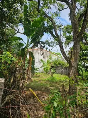 Valuable Residential Land for Sale – Pannipitiya