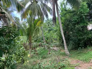 Land with House in Wadduwa