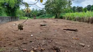 Commercial Land for Rent in Kapugoda