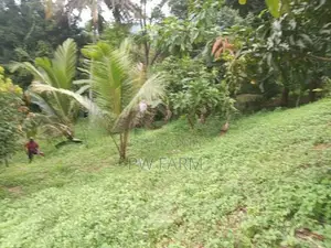 Land for Sale near Kurunegala Town
