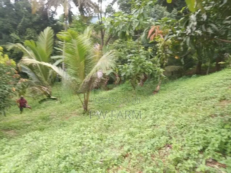 Land for Sale near Kurunegala Town