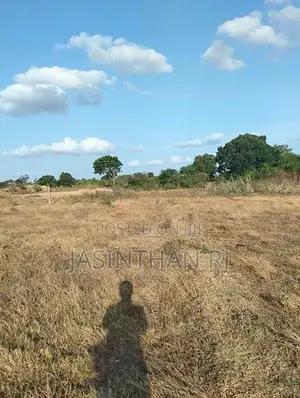 காணி விற்பனைக்கு தரணிக்குளம், புதிய நகர்