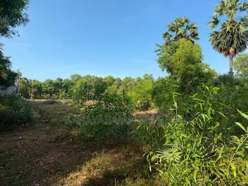 Land For Sale In Mylampavely
