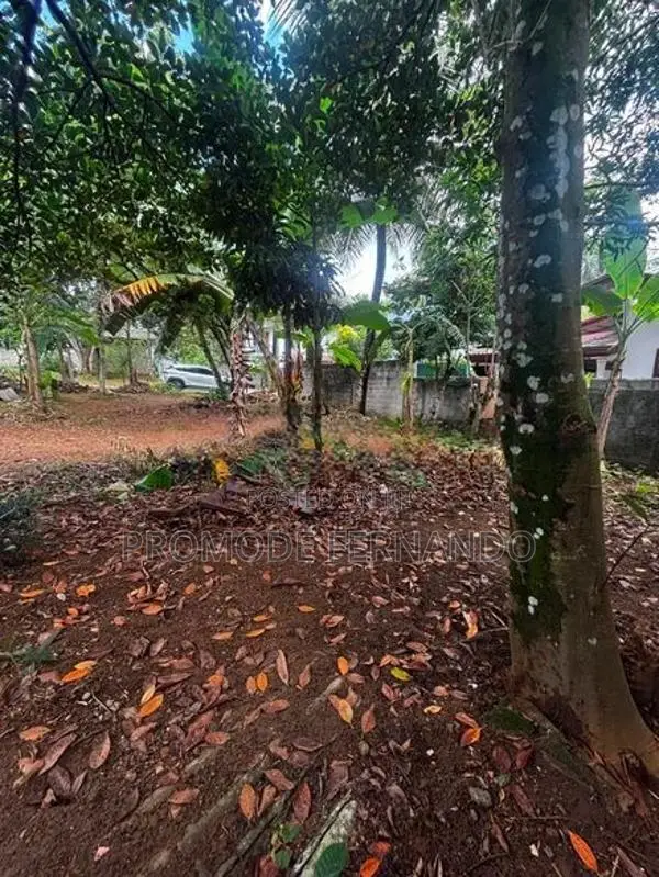 Land for Sale Athurugiriya