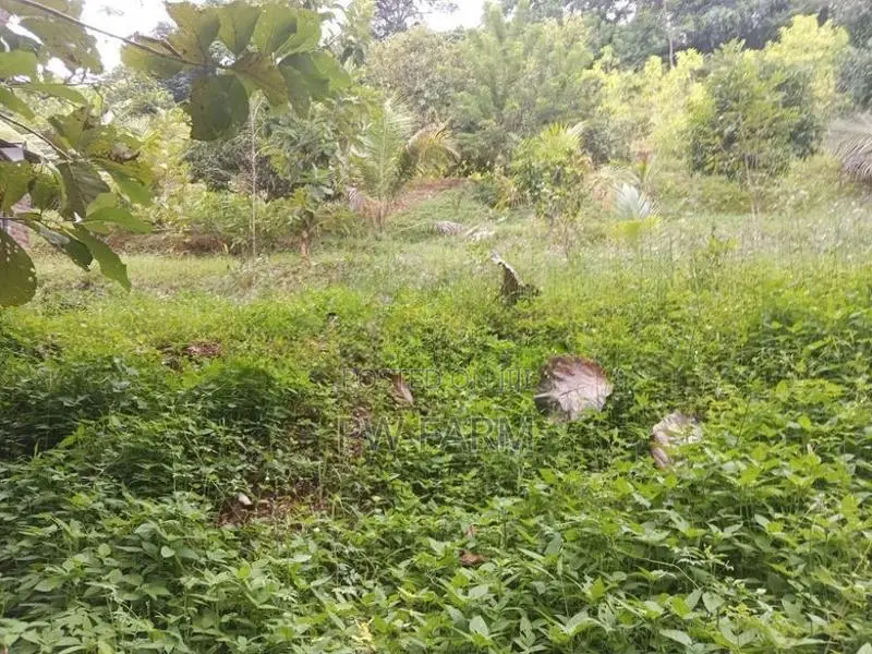 Land for Sale near Kurunegala Town