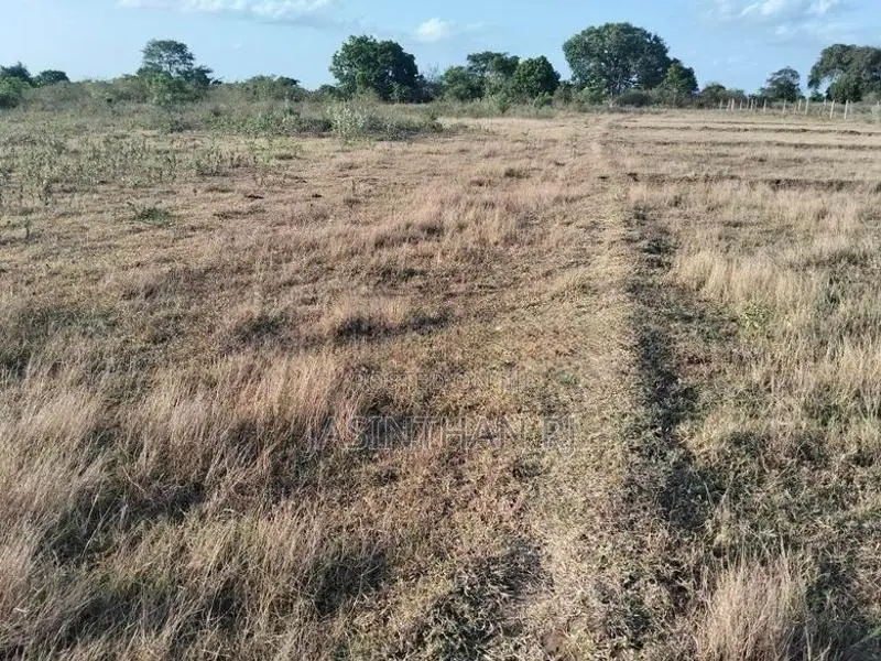 காணி விற்பனைக்கு தரணிக்குளம், புதிய நகர்