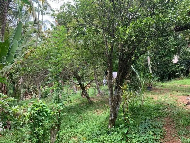 Land with House in Wadduwa