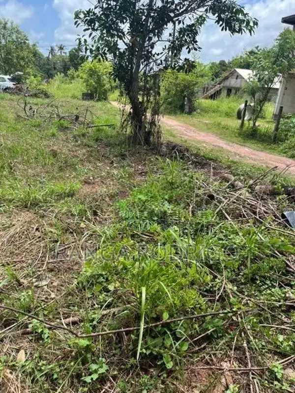 15 Perch Residential Land for Sale in Siyambalapitiya, Kotugoda, Ja-El