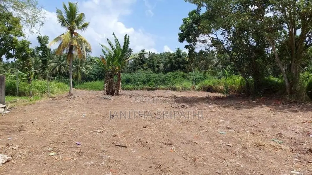 Commercial Land for Rent in Kapugoda