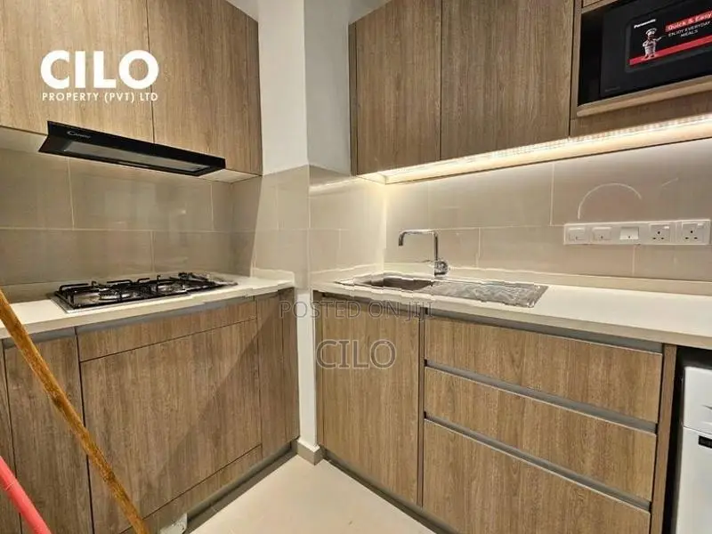 Fully Furnished 2 Bedroom Apartment for Rent – TRI-ZEN, Colombo 02