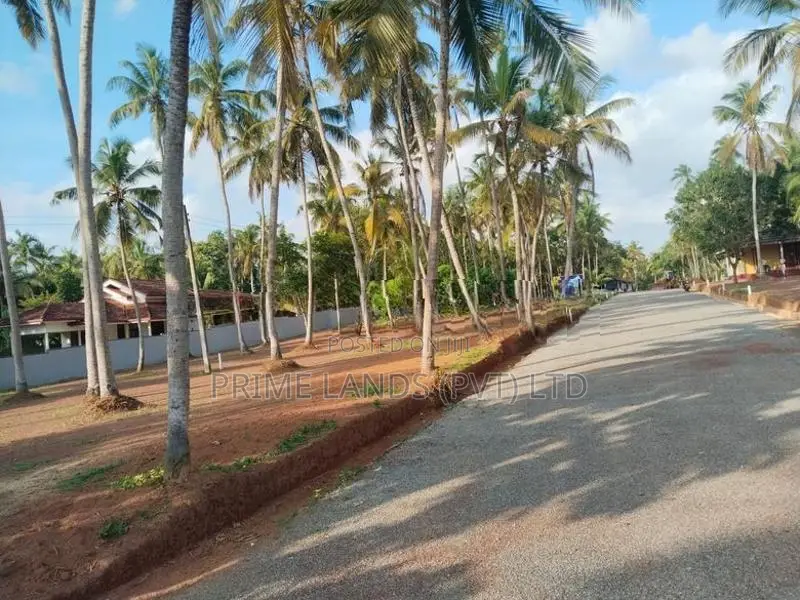 Land for Sale in Dankotuwa