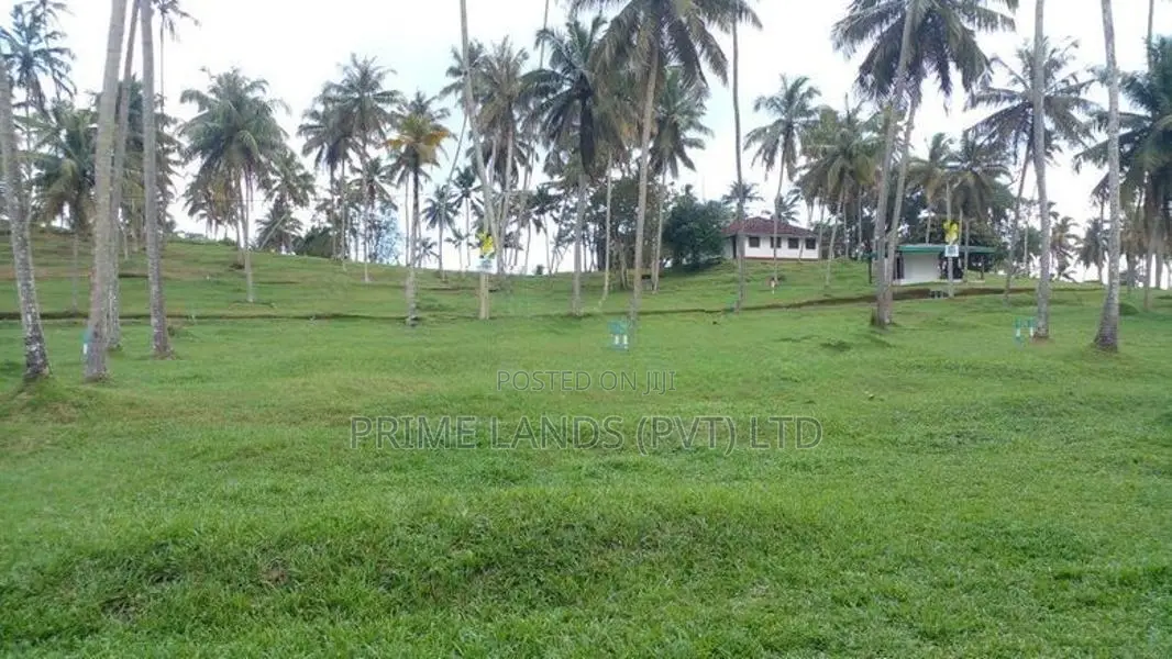 මාතර ලැබීම පාරෙන් බිම් කොටස්