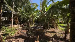 Land for Sale Kandana