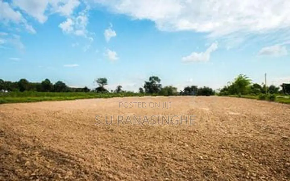 Land for Sale Near Wellawaya town