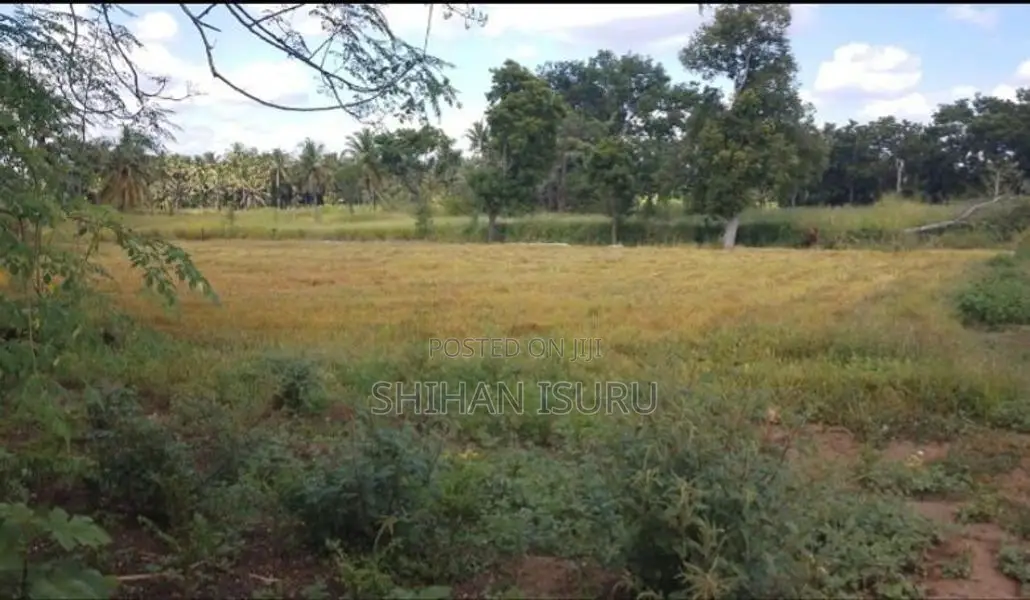 Land for Sale In Wellawaya