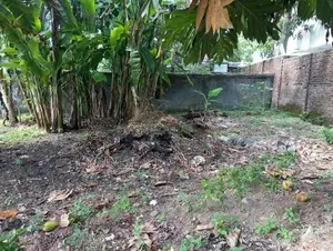 Prime Residential Land for Sale in Mount Lavinia