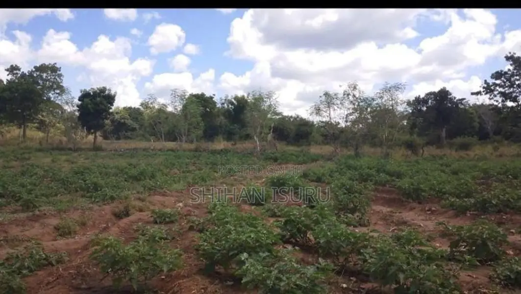 Land for Sale In Wellawaya
