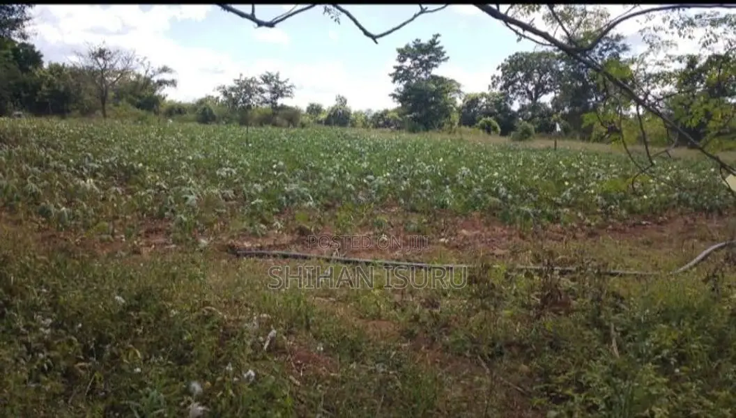 Land for Sale In Wellawaya