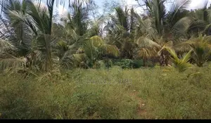 Land for Sale In Wellawaya