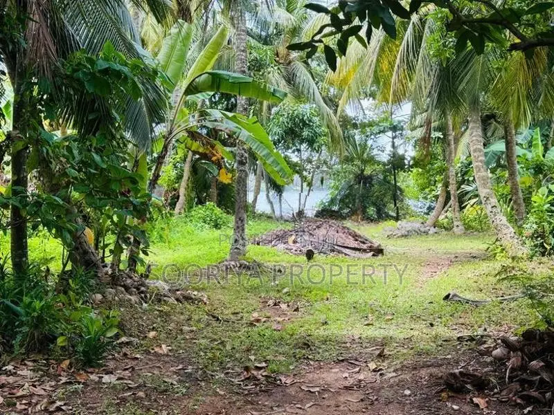 Beautiful Location Land for Sale in Moratuwa