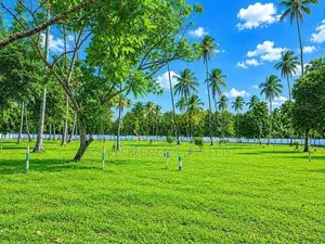 Main Road Facing Land for Sale in Mellawagedara - H01