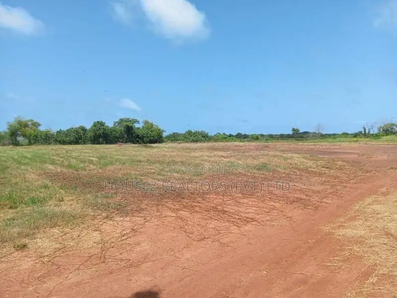 Prime Land for Sale Madampe
