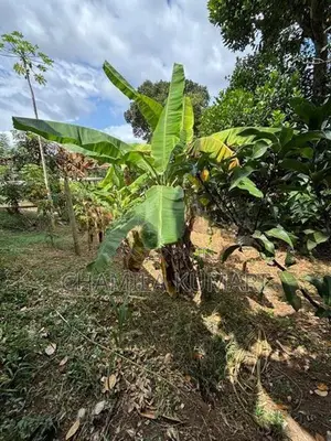ඉඩමක් විකිණීමට කෙන්ගල්ල දිගන