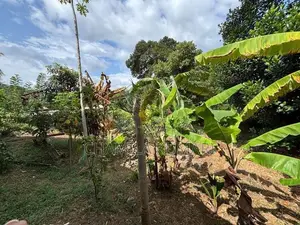 ඉඩමක් විකිණීමට කෙන්ගල්ල දිගන